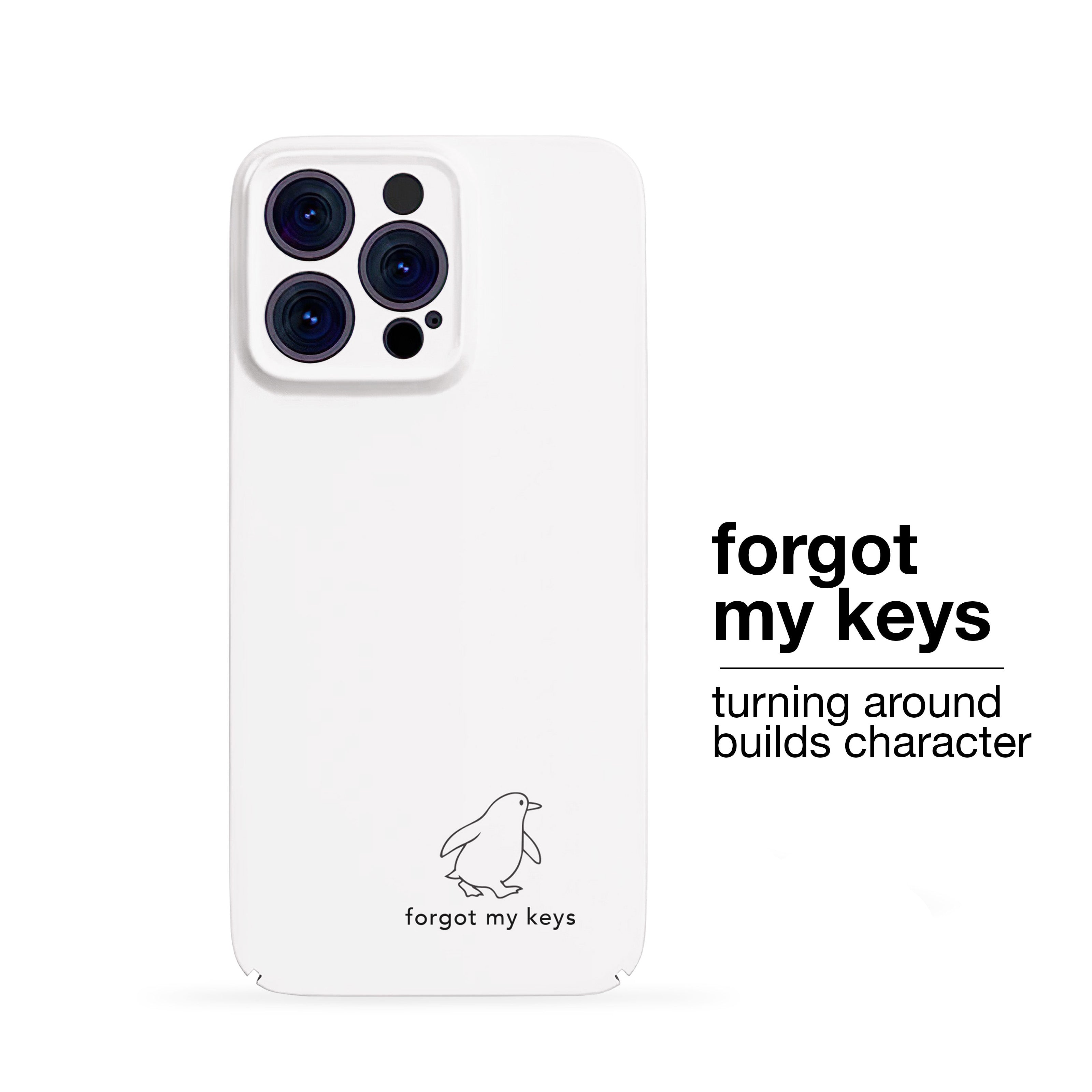 Forgot My Keys